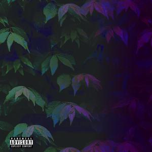 Cherry Coke(feat. TheEthanShmeathan) (TikTok Remix)