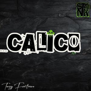 CALICO (feat. S T A N K) [Explicit]