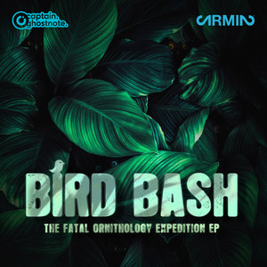 Bird Bash