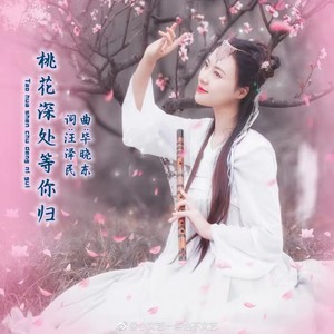 桃花深处等你归（DJ）