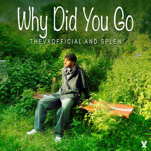 Why Did You Go