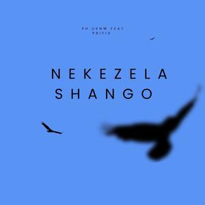 Nedzela shango (feat. Prifix) (Explicit)