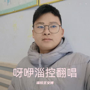 似火年华封面