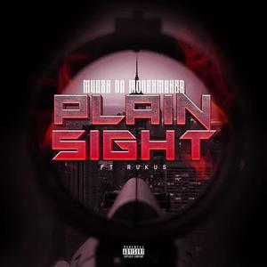 Plain Sight (feat. King Rukus) (Explicit)