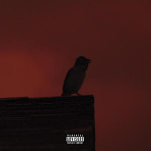 RunAway (feat. Infinityisdead) (Explicit)