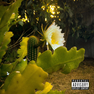 2024 (Freestyle) (Explicit)