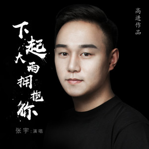 张宇 - 下起大雨拥抱你