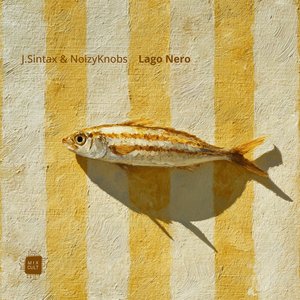Lago Nero (Nicolas Barnes Radio Remix)