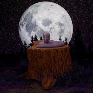 Noches