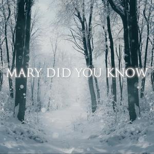 Mary Did You Know