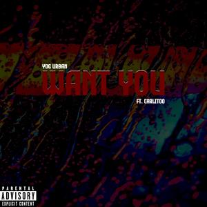 Want You (feat. Carlitoo) [Explicit]