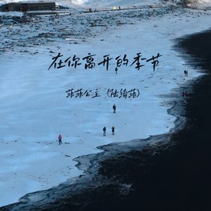 在你离开的季节