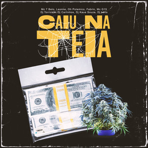 Caiu na Teia (Explicit)