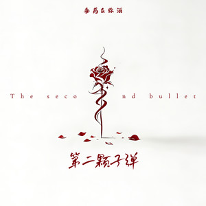 第二颗子弹