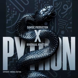 Python