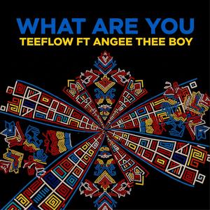 What Are You (feat. Angee the boy)