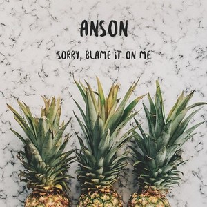 Sorry Blame It On Me (ANSON Tropical Remix)