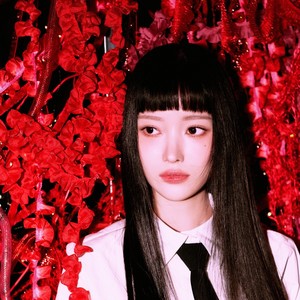 건물 사이에 피어난 장미