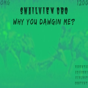 Why You Dawgin Me? (Explicit)