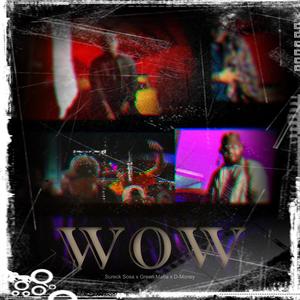 Wow (feat. Green Mafia, Un Loco Del Barrio & ValliOTB) (Explicit)
