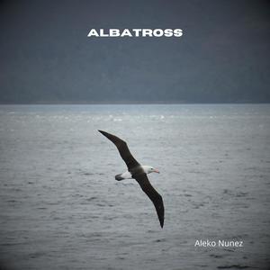 Albatross (Arr. for Guitar)
