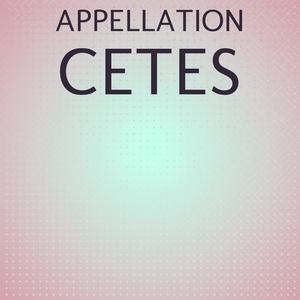 Appellation Cetes