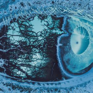 NADA (feat. Kamiyada+) (Explicit)