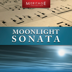 Moonlight Sonata (flute & guitar)