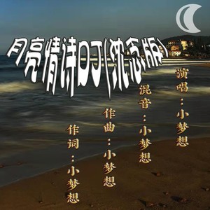 月亮情诗DJ (沈念版伴奏)