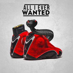 All I Ever Wanted (Explicit)