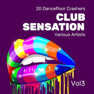 Club Sensation (20 Dancefloor Crashers), Vol. 3