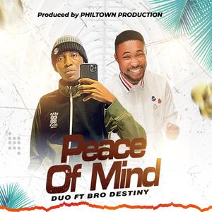 Peace Of Mind (feat. Bro Destiny)