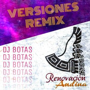 Versiones Remix