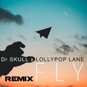 Fly (Naksi X Darwin Extended Remix)