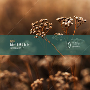 Eternal (Original Mix)