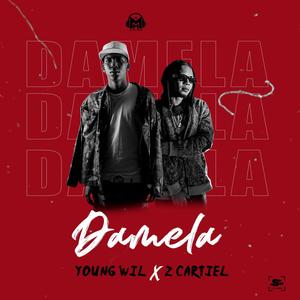 Damela Que Quiero (feat. youngwil rd & z cartiel)