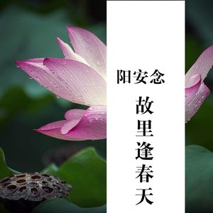 活着 (DJ版)