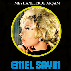 Meyhanelerde Akşam