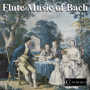 Flute Sonata in B Minor, BWV 1030 - III. Presto - Allegro (第三乐章 急板 - 快板)