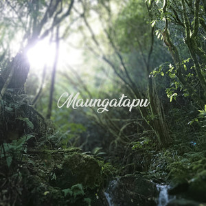 Maungatapu