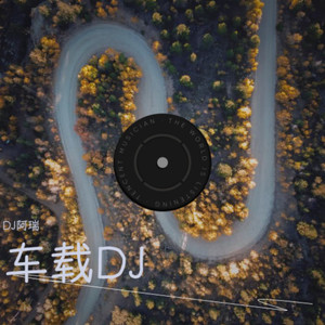 一对旧皮鞋 (DJ阿瑞 remix)封面