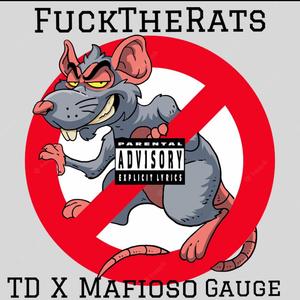 ****TheRats (feat. Mafioso Gauge) (Explicit)