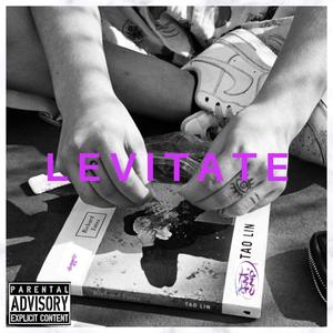 Levitate (Explicit)