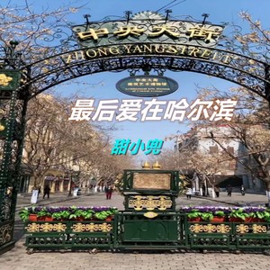 最后爱在哈尔滨