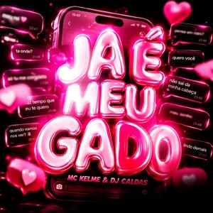 Já é Meu Gado (Explicit)