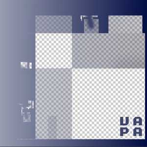 Coluche et le socialisme