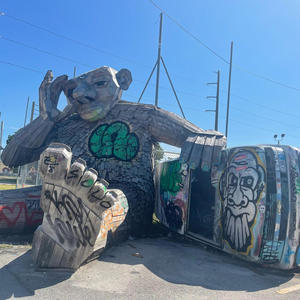 Flexin (feat. iLLi B) (Explicit)