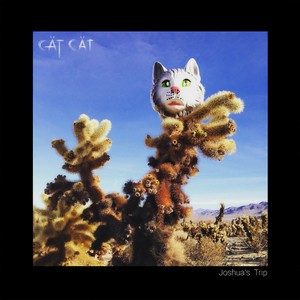 Pioneer Canyon (Amevicious Remix)