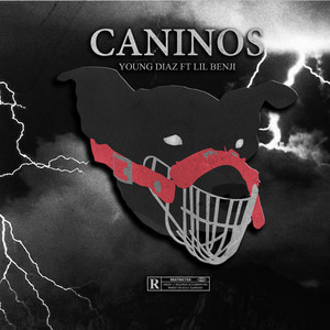 Caninos (Explicit)