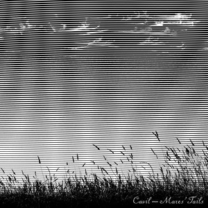 Cavil - Piranha Canal